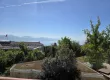 20260424_140251.jpg