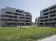 Rives_de_la_Broye_01.jpg