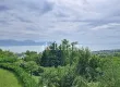 ff0000000049154654.jpg