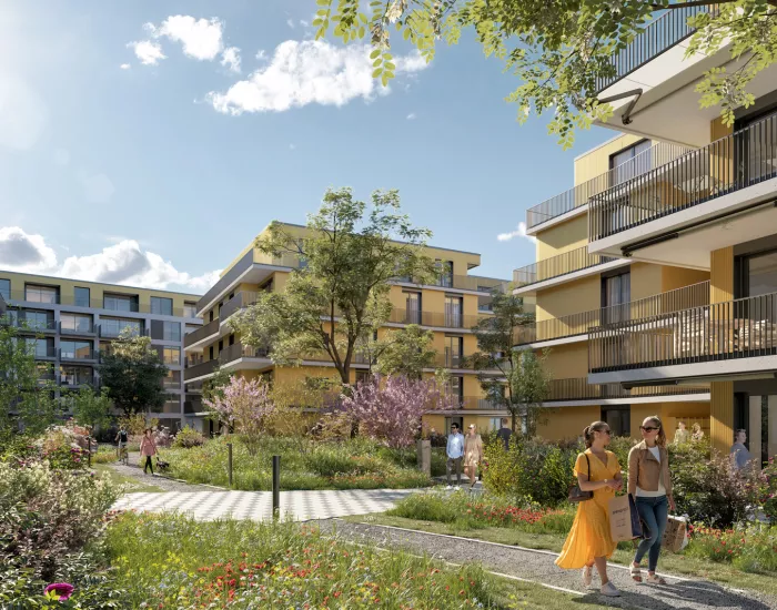 Les chênes de renens - à louer - appartements et logements