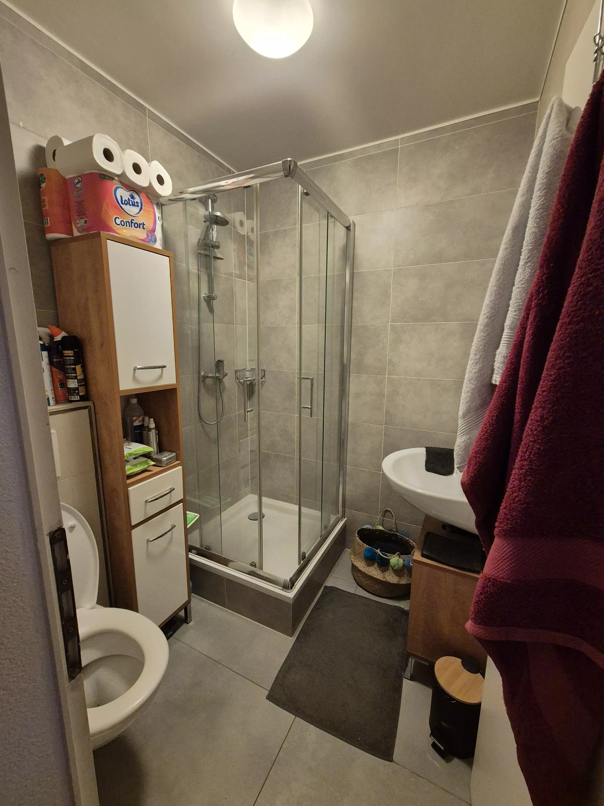 Salle de douche du rez du 7,5 pièces