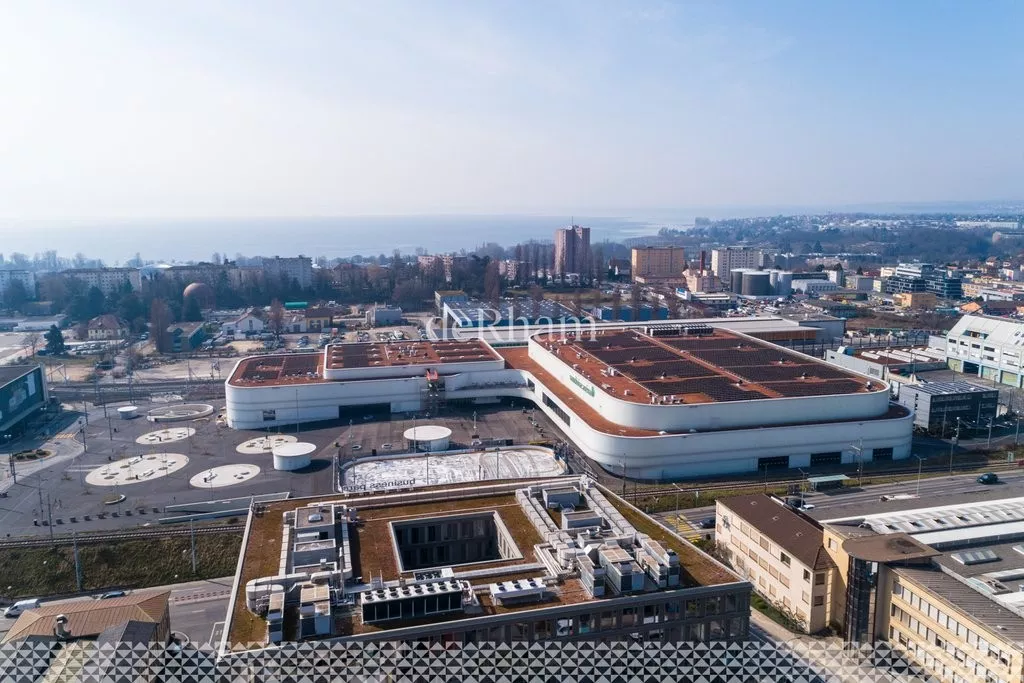 Rochelle5-drone-2.jpg