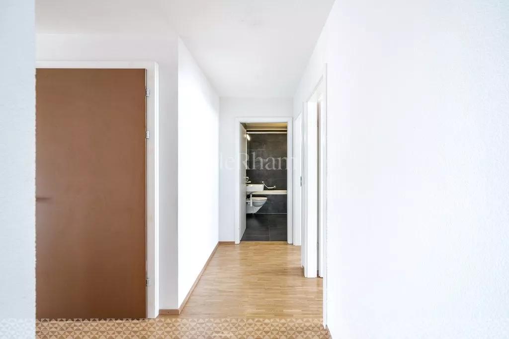 Hall_dentree_2.jpg