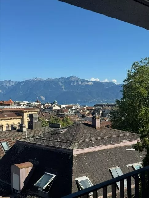 vu_riant_mont.PNG
