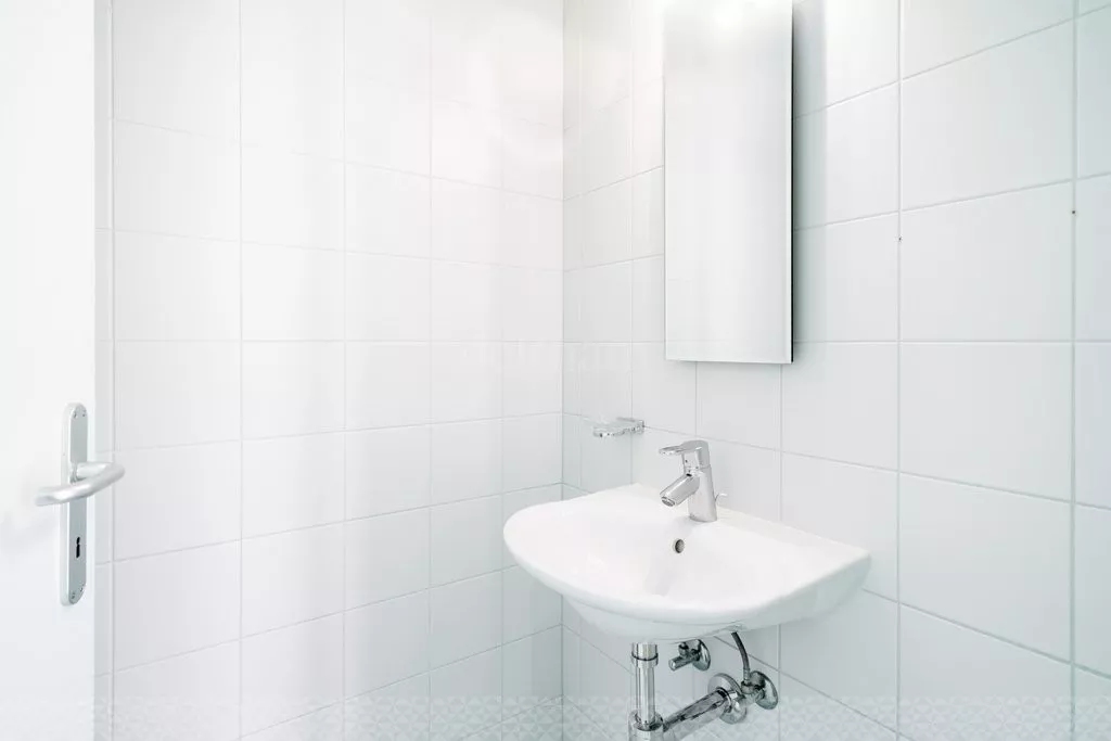 Barberine_3_-_Lausanne-5.jpg