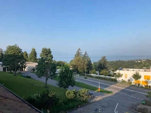 Vue.jpg