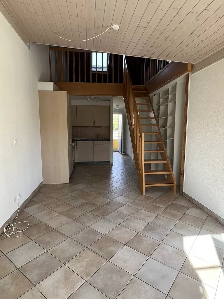 IMG_5850.jpeg
